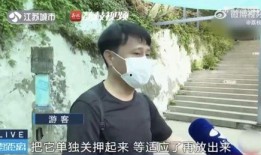 吃瓜逛街的网红是谁啊,她是如何成为网络红人的？